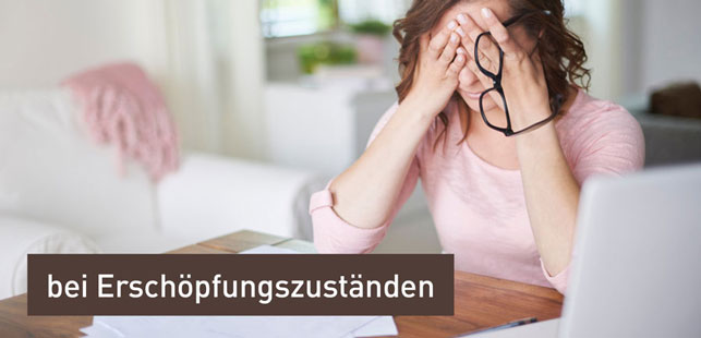 bilder-erschoepfung-2019